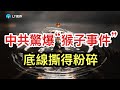 黨領導一切，就是不能領導一頭豬；中共驚爆“猴子事件”，底線撕得粉碎；烏克蘭內部爆發政治危機。
