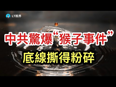 黨領導一切，就是不能領導一頭豬；中共驚爆“猴子事件”，底線撕得粉碎；烏克蘭內部爆發政治危機。