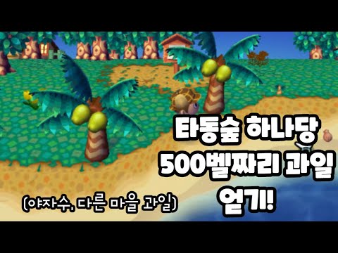 손임자tv 타동숲 20번째 이번에는 대낮에 상어가 mp3 손임자Tv 타동숲 20번째 이번에는 대낮에 상어가 Mp3