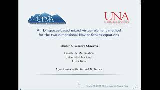 An Lp spaces-based mixed virtual element method for the two-dimensional Navier-Stokes equations