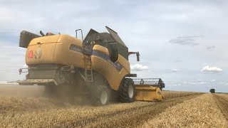 Żniwa 2023 - New Holland CX6.80