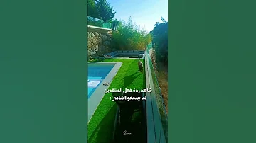 متلازمة اغنية بتهون مع كيرا اكسبلور الشامي اغاني ترند Shorts Video لايك اغاني الشامي Music 