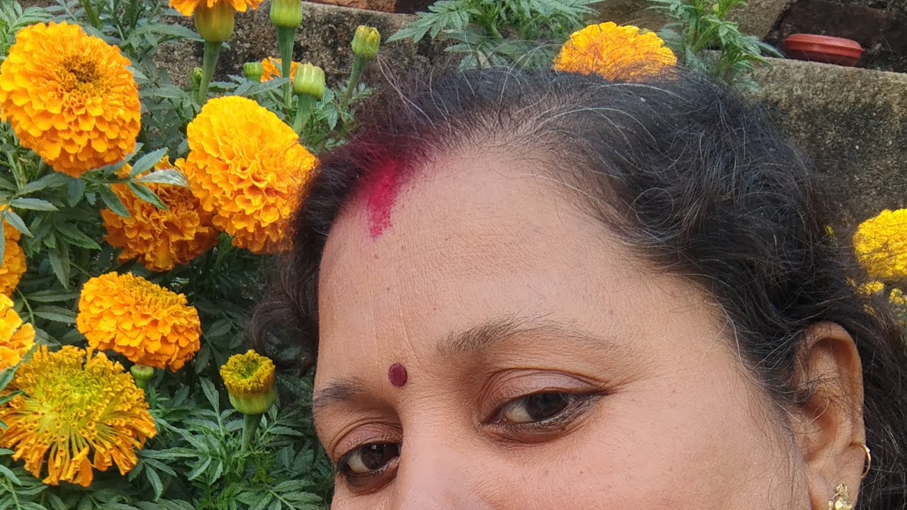 हैप्पी मकर संक्रांति