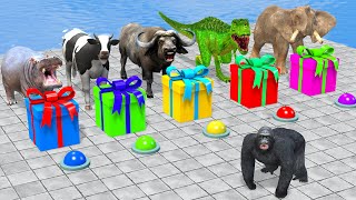 Choose The Right Gift Box Run Game With Cow Elephant Gorilla Buffalo Hippo T-Rex Wild Animals Games