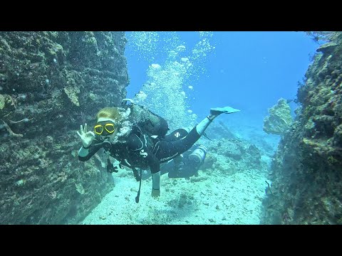 Discover Scuba Diving on Safari with PADI and Ocean Spirit