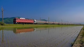電気機関車EF81（27）　～水鏡にカシオペアのライン！　EF8181牽引の試運転列車～