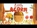 The Journey of an Acorn