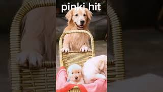 How Do I Get Home Pinki Hit