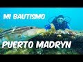 Buceo en Puerto Madryn - Chubut | Argentina | ♥ Bucket List