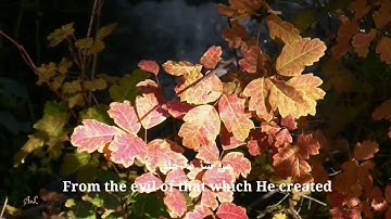 سورة الفلق بصوت القارئ الأمريكي فاتح سفرجيك || Surat Al Falaq Fatih Seferagic