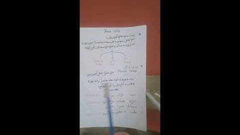 Class V Sindhi Grammar Lecture 8