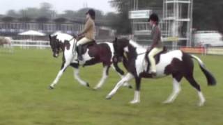 RHS Ridden Coloured Pairs Class 2009