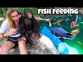 FEEDING MONSTER FISH WITH CHIMPANZEE ! FISH ATTACK