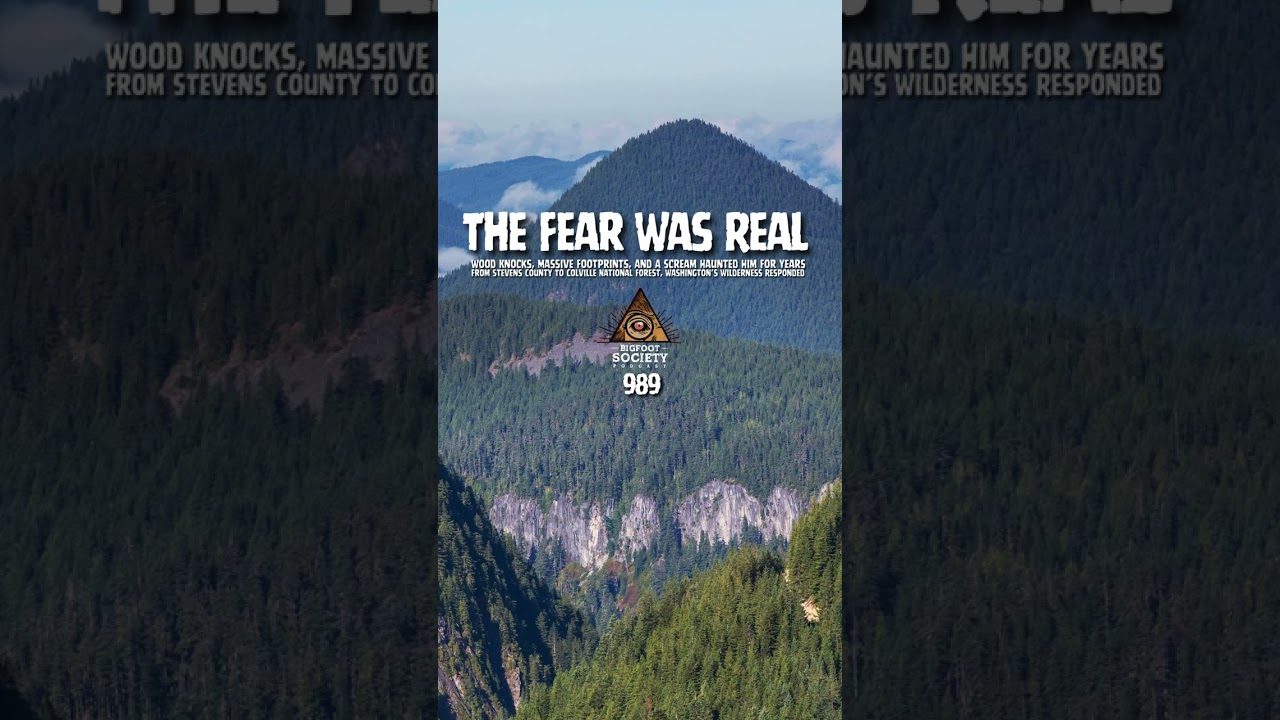 Decades of unexplained activity in Washington’s wilderness