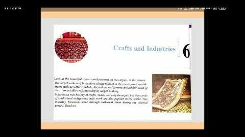 Class VIII SS Chapter- 6 Crafts and Industries