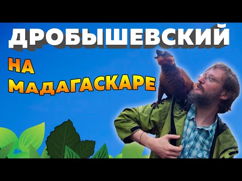 Дробышевский на Мадагаскаре