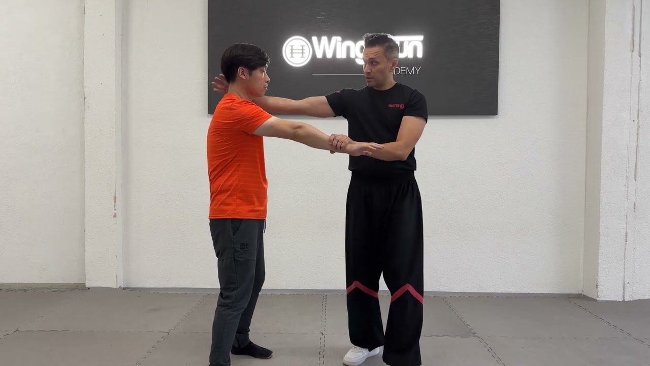 1. set application Wooden dummy / 1. Satz Anwendung der Holzpuppenform Wing Tsun Leung Ting System