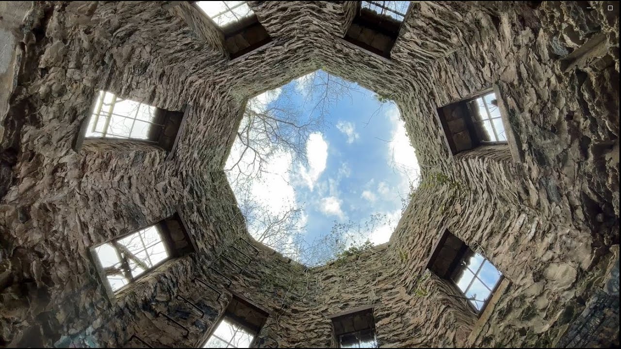 Wandering around Lullwater Preserve  Decatur GA   1 17 2026