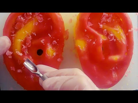 ASMR  소리는 차~암 좋은데 설명할 방법이 없네