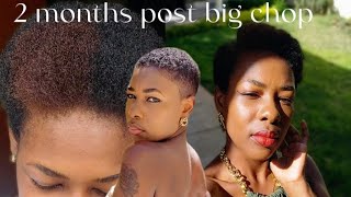 relaxer free FAILED  pixie hairstyle |two months post big chop hair growth