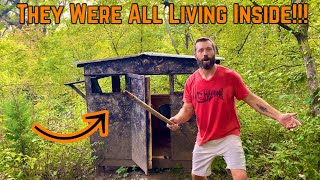 Abandoned DEER Blind Had UNWELCOME Guests!!!