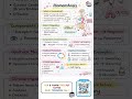 Homeostasis I Pathophysiology I B.pharm Semester 2nd #bpharmacy #pharmacyindiaplus #homeostasis