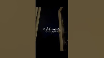القارئ : عمر بن ضياء الدين