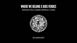 Roman Kyn - Where We Belong x Jamek Ortega, JUNO - Ojos Verdes (DJ Sven Edit) Progressive House Resimi