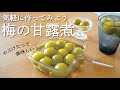 【おうち用】のんびり作る梅の甘露煮