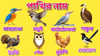 30 Birds Name in Bengali and English | পাখির নাম বাংলা ও ইংরেজি