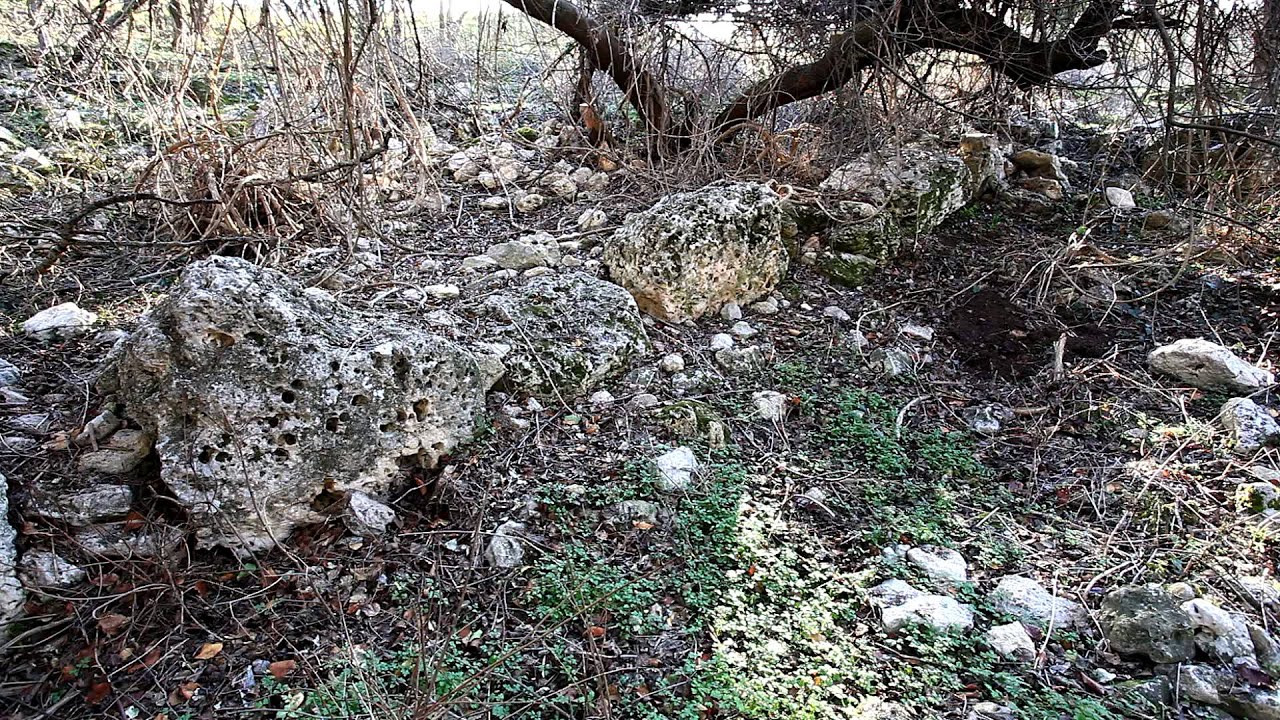 Погода в лад балке