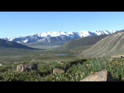 Video: Altai gas pipeline rau Tuam Tshoj: tsim thiab tsim