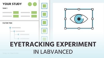 Eyetracking Experiment in Labvanced | Overview & Special Features