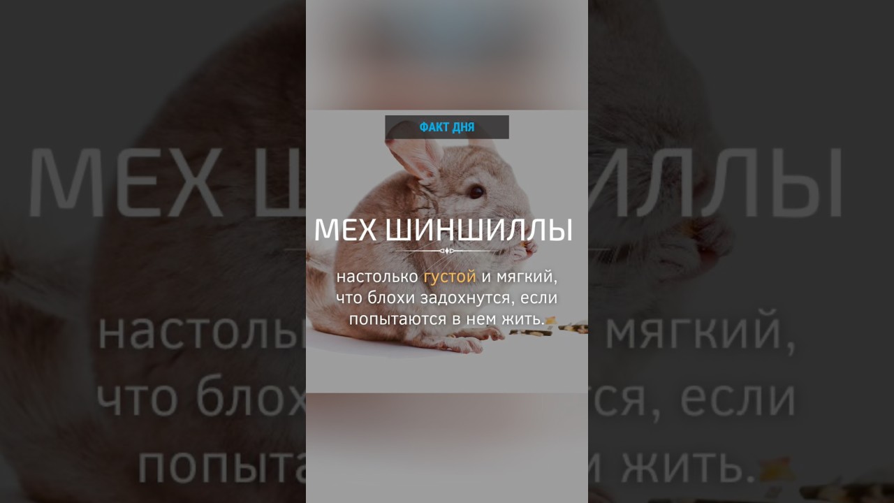 Инструменты наше все 