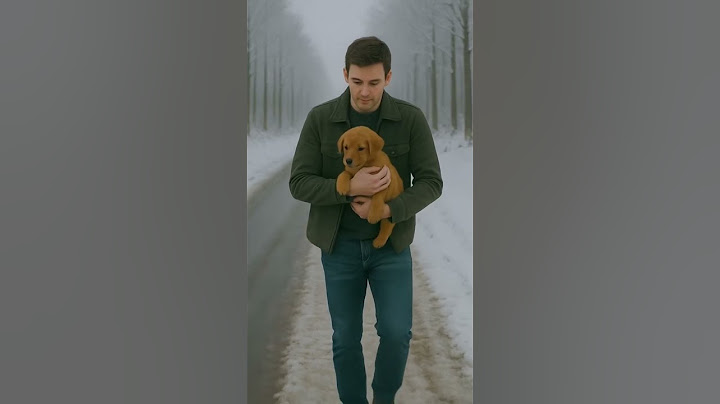 Kind-Hearted Truck Driver Rescues Helpless Baby Dog from Wire Trap
