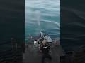 U.S NAVY Sailor Conduct Live Fire Mk 38