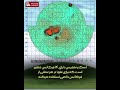دستگاه تصویری جی پی آر نمفیس روسیه Gpr Aemp 14 Nemfis دستگاه تصویری جی پی آر نمفیس روسیه Gpr Aemp 14 Nemfis
