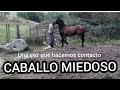 Caballos difíciles de agarrar