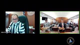 Judge Fleischer Goes Full Savage on Defendants