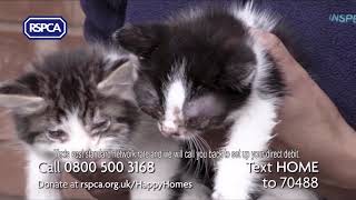 RSPCA Happy Homes Advert (2020, VoiceOver Only)