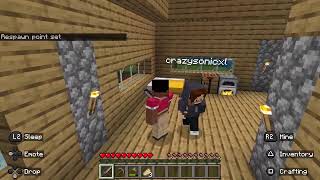 Minecraft degenerates
