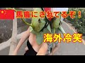 【爆笑中国動画】これが私が絶対に中国に行かない理由、そして中国を嫌う数ある理由の一つです。
