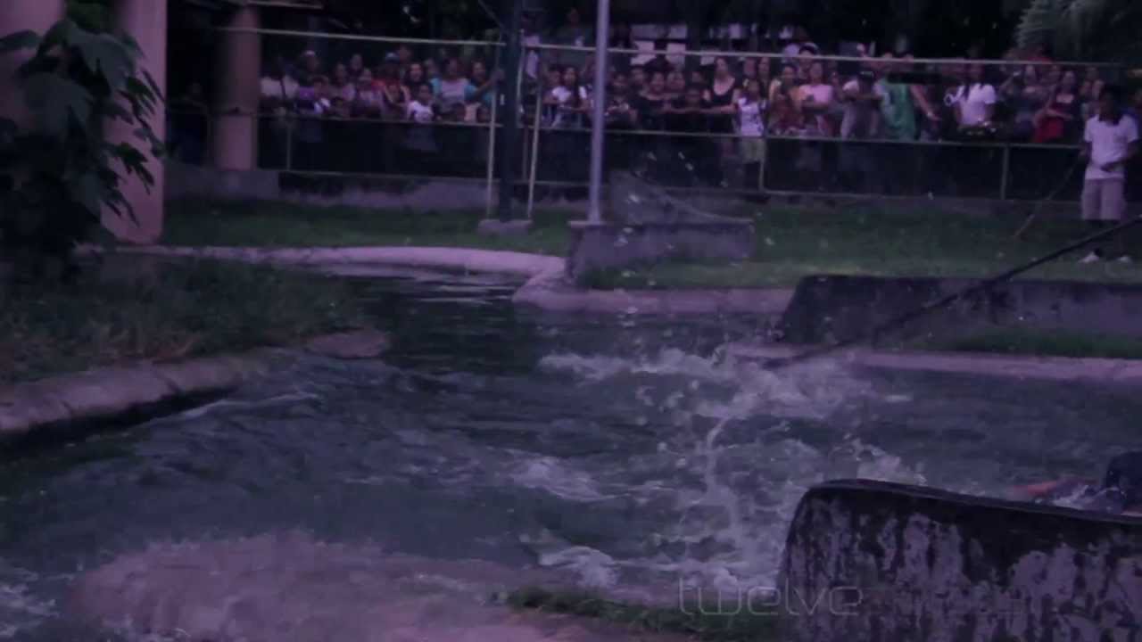 Tightropewalker Falls into Crocodile Pen! YouTube