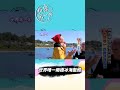 【紐西蘭】世界唯一南極冰海藍鱈 頂級生魚片與極限鯊魚潛艇｜《世界第一等》896集精華版 #世界該去哪