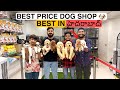 BEST DOGS BEST PRICE PET SHOP NEW PUPPIES ARRIVED 🐠‍🠺 BEST DOGS BEST PRICE PET SHOP NEW PUPPIES ARRIVED 🐠‍🠺