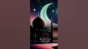 سورة التوبة - القارئ عامر السعيدي