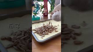 CAT MAKING DRINKS🍹 AND FOOD | 猫料理番組 | 고양이 요리 쇼 Ep31 screenshot 4