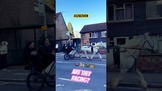 Never ending surprises of an English town #england #traveling #walking #redbourn