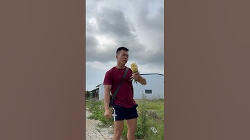 Ăn hết quả dứa này xong thì bá cháy với anh 🥶🥶 #giammo #dua #mobung #phanhai