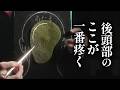 後頭部のてっぺんから首筋までくすぐったい。 立体音響【ASMR】